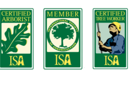 International Society of Arborists Certification