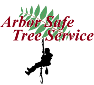 Arbor Safe Full Logo