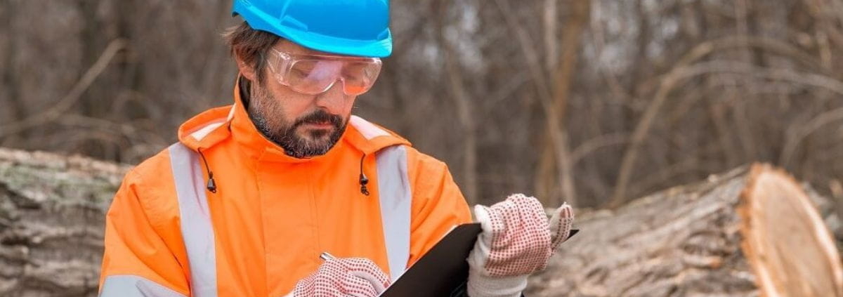 why hire an arborist