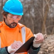 why hire an arborist why hire an arborist