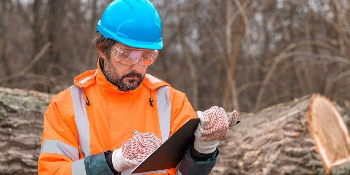 why hire an arborist