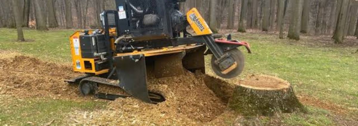Freshly ground tree stump in a residential yard after professional stump grinding service to improve safety and curb appeal | Benefits of Stump Grinding