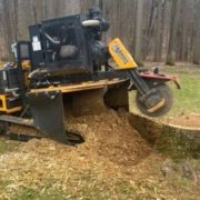 Freshly ground tree stump in a residential yard after professional stump grinding service to improve safety and curb appeal | Benefits of Stump Grinding