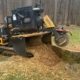 Freshly ground tree stump in a residential yard after professional stump grinding service to improve safety and curb appeal | Benefits of Stump Grinding