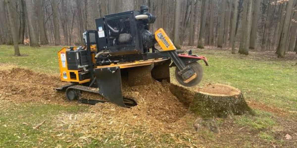 Freshly ground tree stump in a residential yard after professional stump grinding service to improve safety and curb appeal | Benefits of Stump Grinding